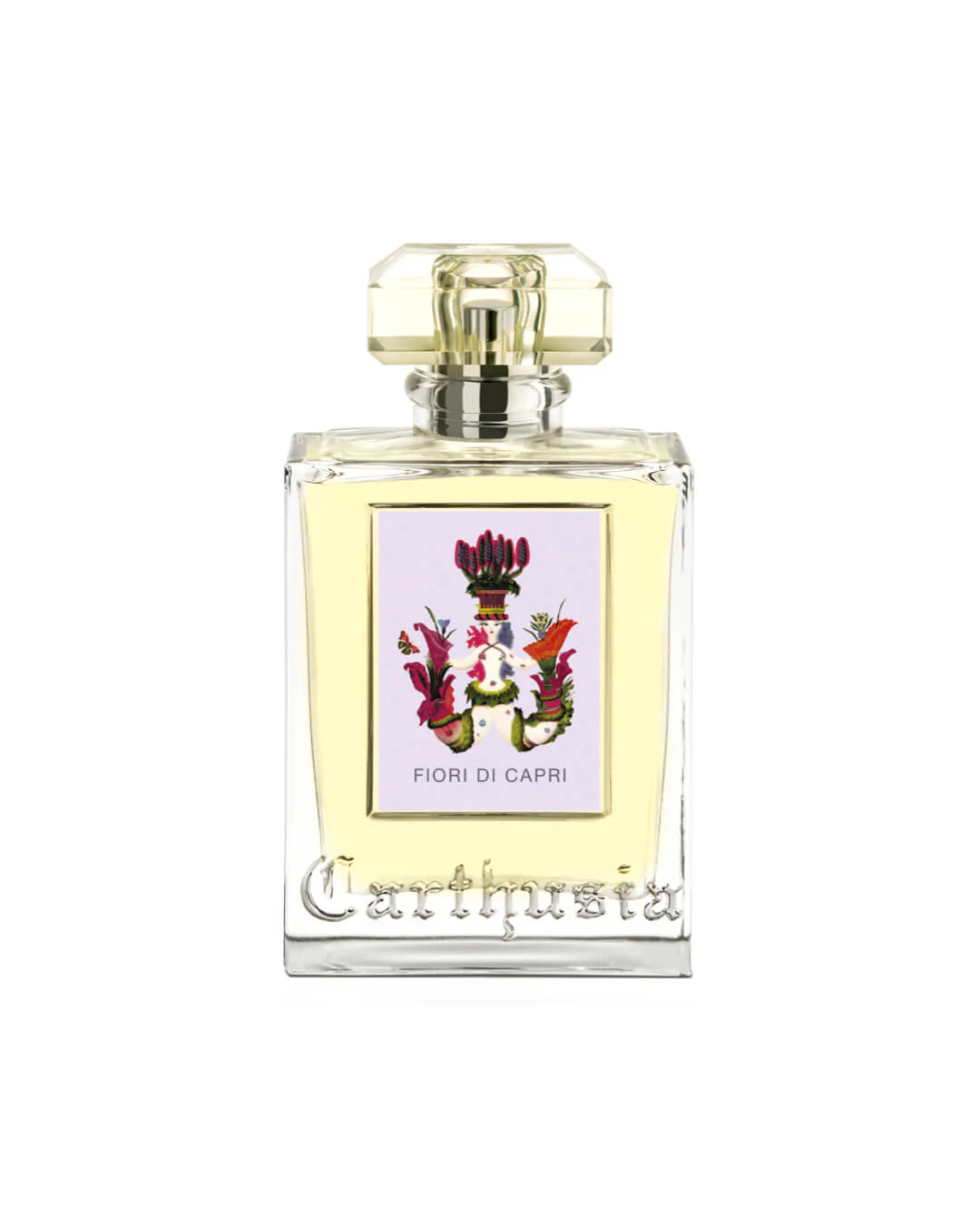 Miniatura 1